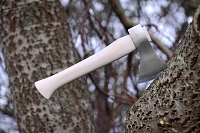 GRB-2 11-2019 0694